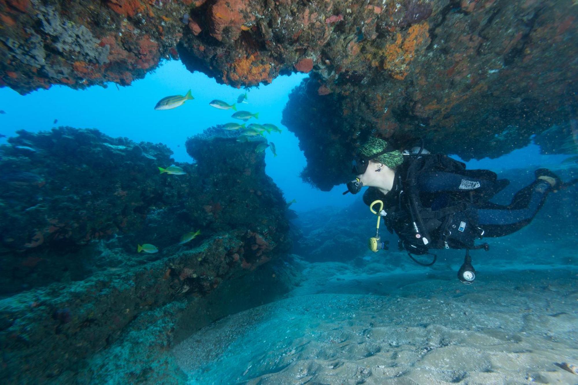 Sodwana Bay Lodge Dive & Fishing Resort Экстерьер фото
